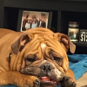 Meet your Posher, Jose